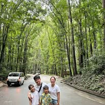 Bilar Man-Made Forest - View 1