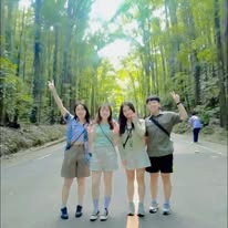 Bilar Man-Made Forest - View 5