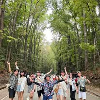 Bilar Man-Made Forest - View 8