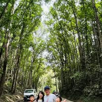 Bilar Man-Made Forest - View 10