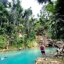 Bilar Man-Made Forest - View 12