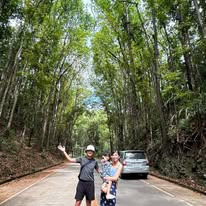 Bilar Man-Made Forest - View 16