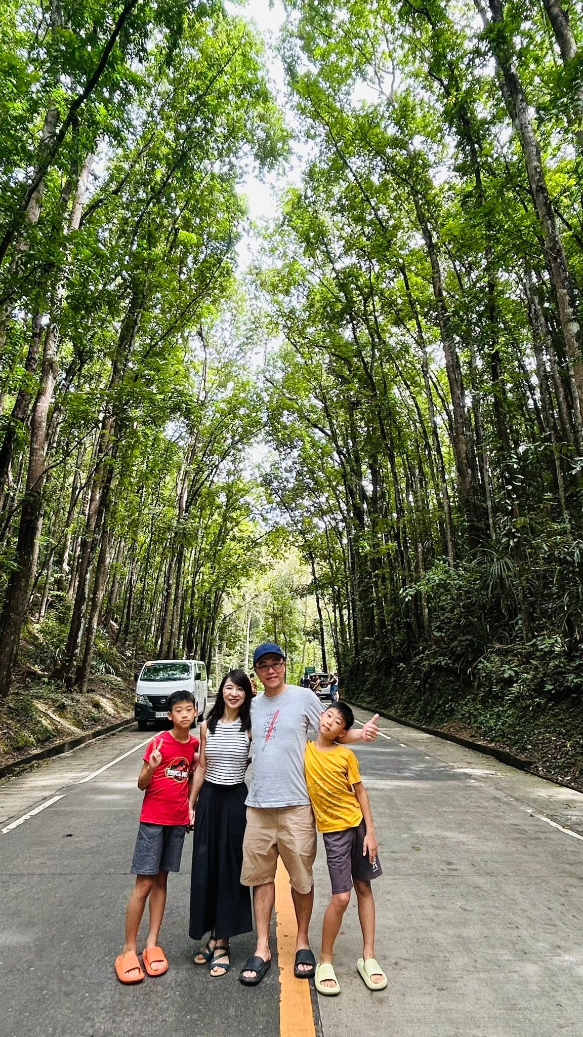 Bilar Man-Made Forest - View 19