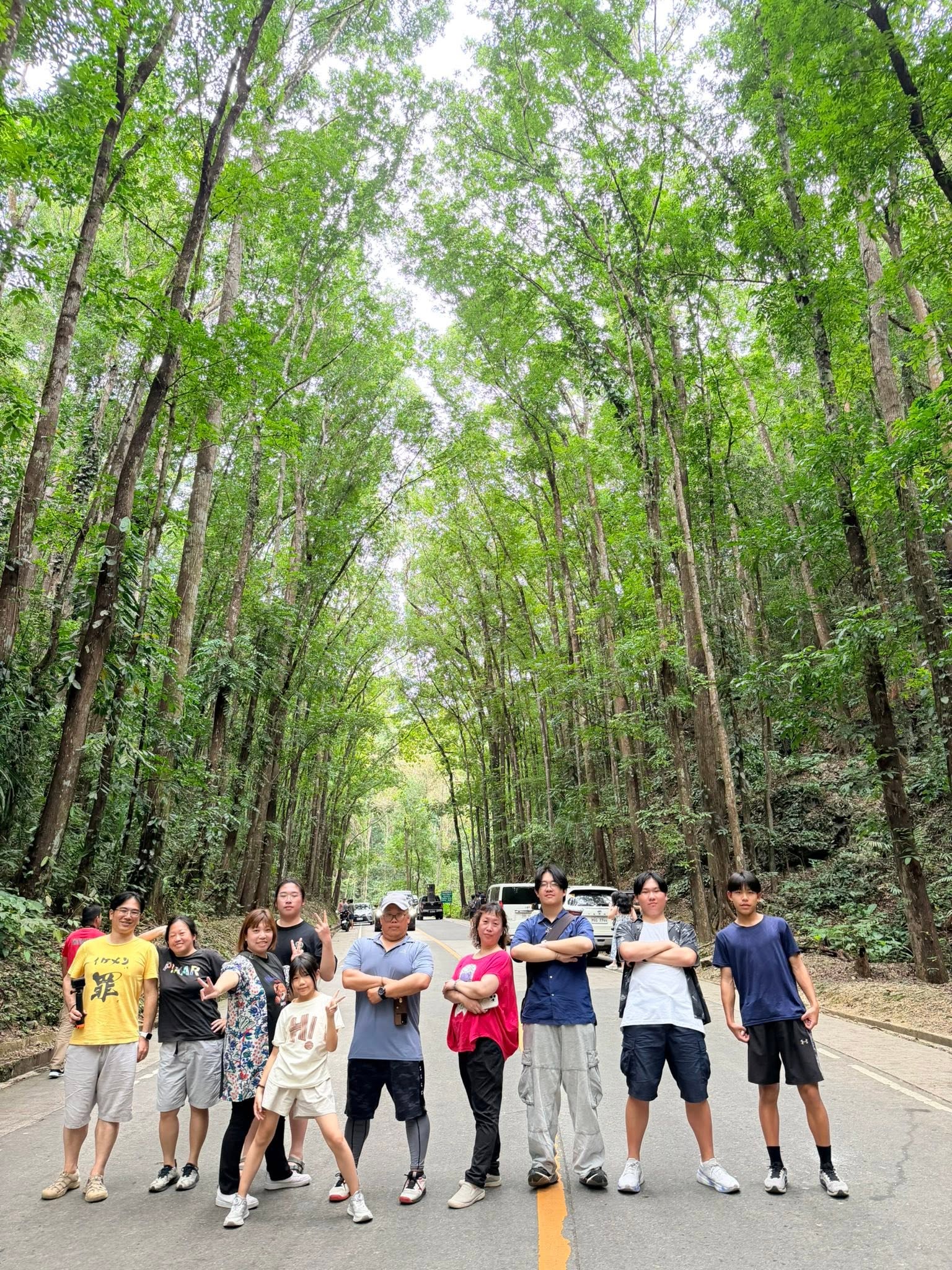Bilar Man-Made Forest - View 20
