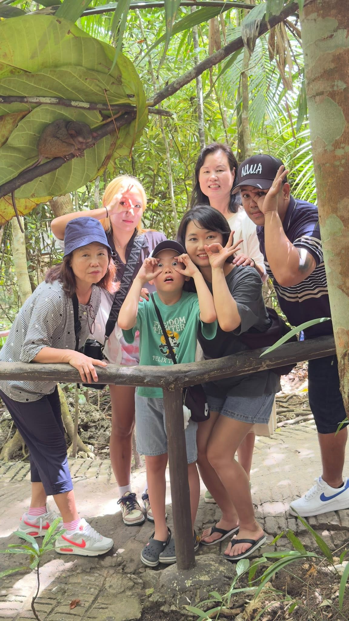 Tarsier Sanctuary - View 9