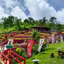 Chocolate Hills - View 8
