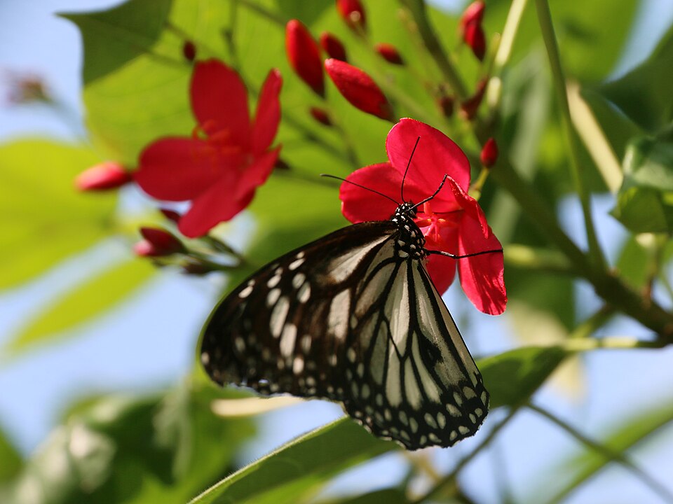 Exotic Animals Park - View 1