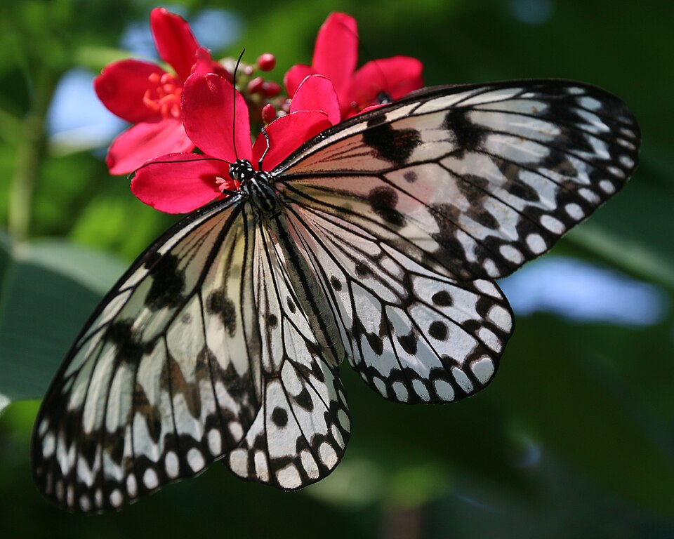 Exotic Animals Park - View 2
