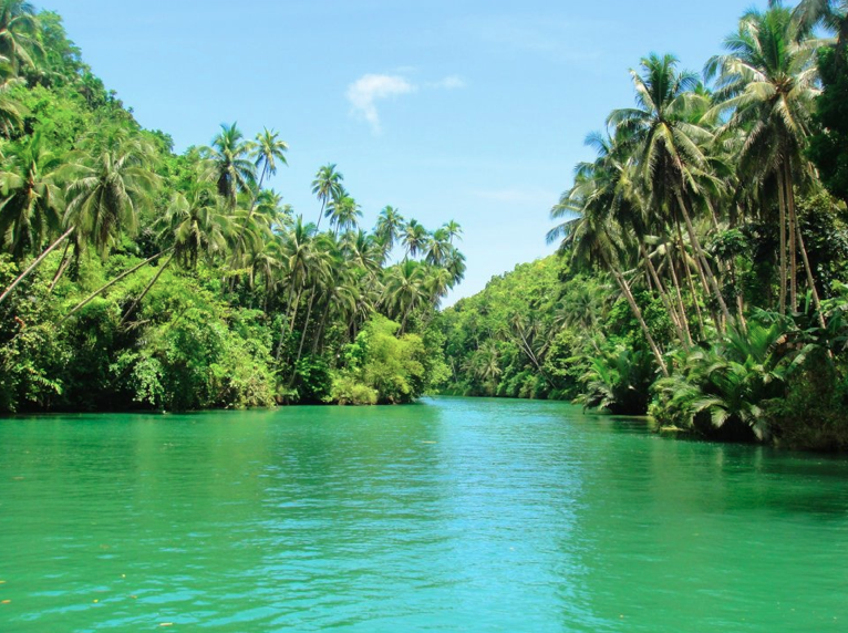 Loboc River Cruise - View 27