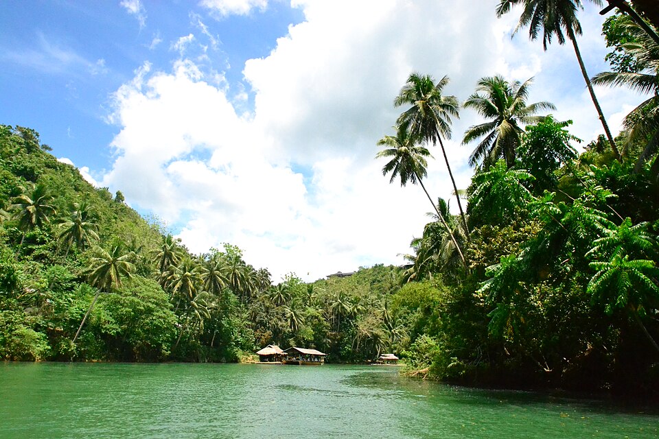 Loboc River Cruise - View 29