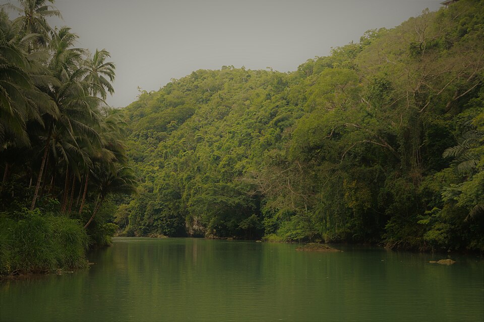 Loboc River Cruise - View 30