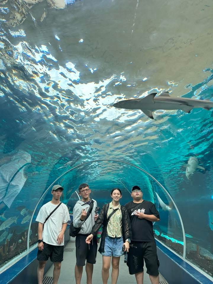 Cebu Ocean Park - View 12
