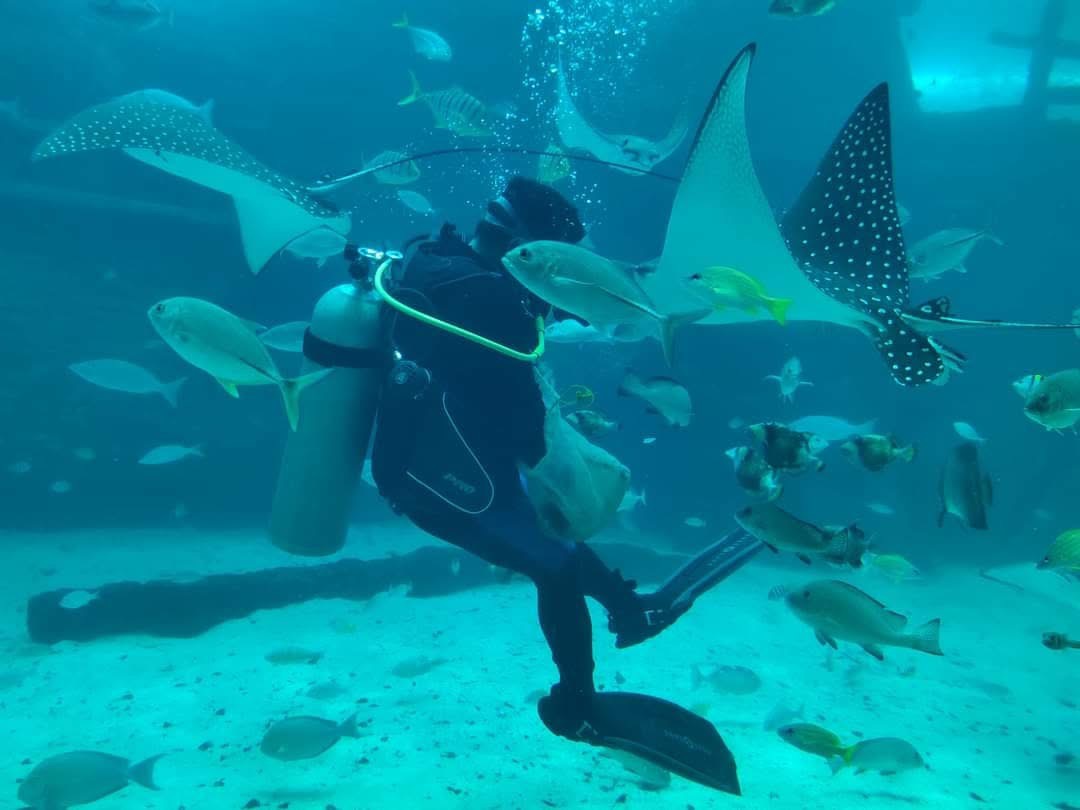 Cebu Ocean Park - View 5