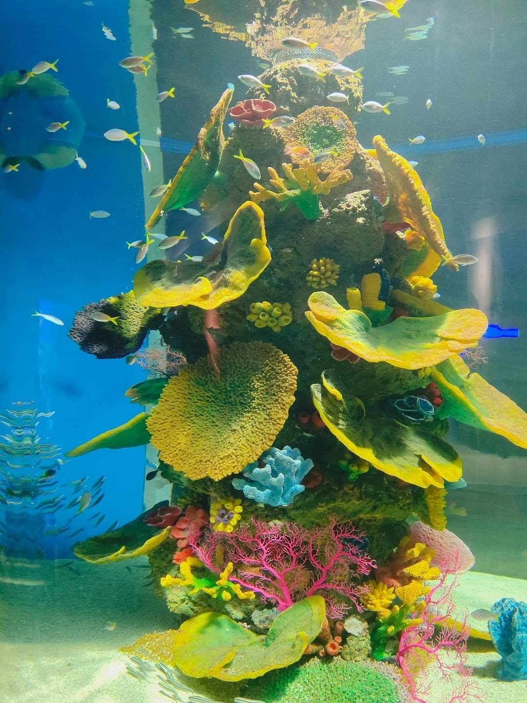 Cebu Ocean Park - View 6
