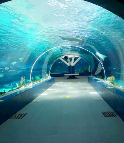 Cebu Ocean Park - Cebu City, Philippines