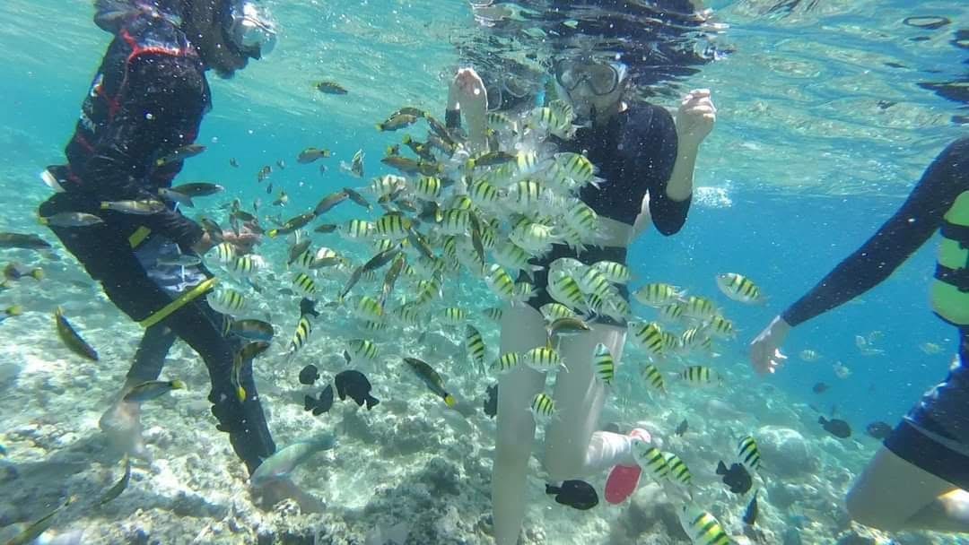 Nalusuan Island - View 9