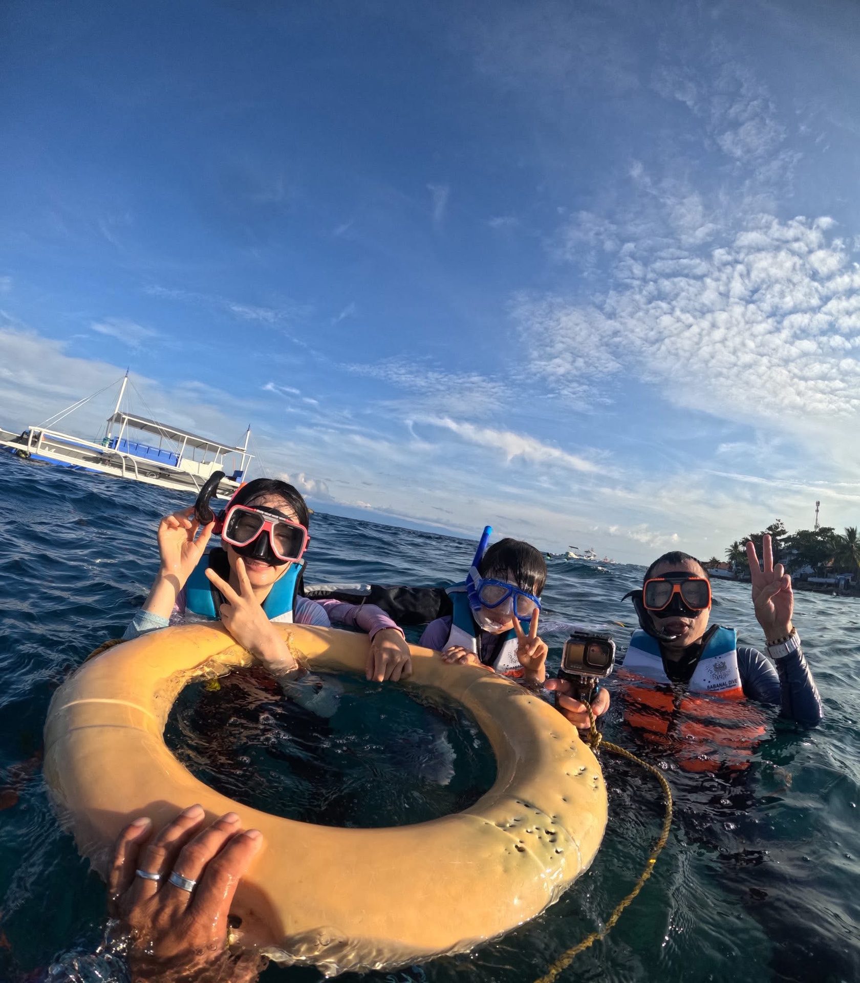 Moalboal Sardine Run