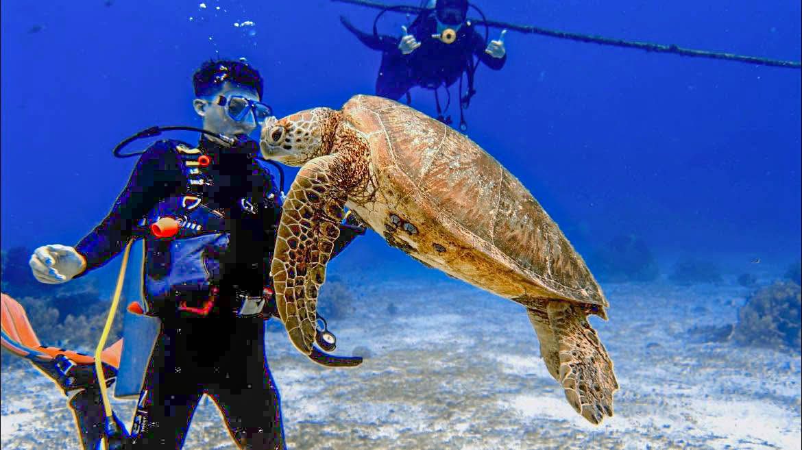 Moalboal Turtle Point - Moalboal, South Cebu