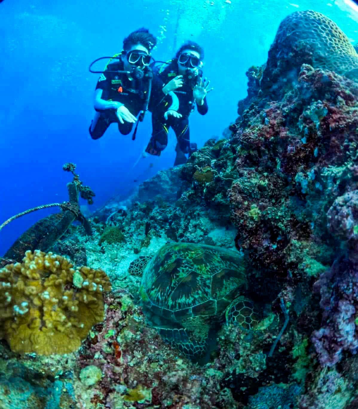 Moalboal Turtle Point - Moalboal, South Cebu