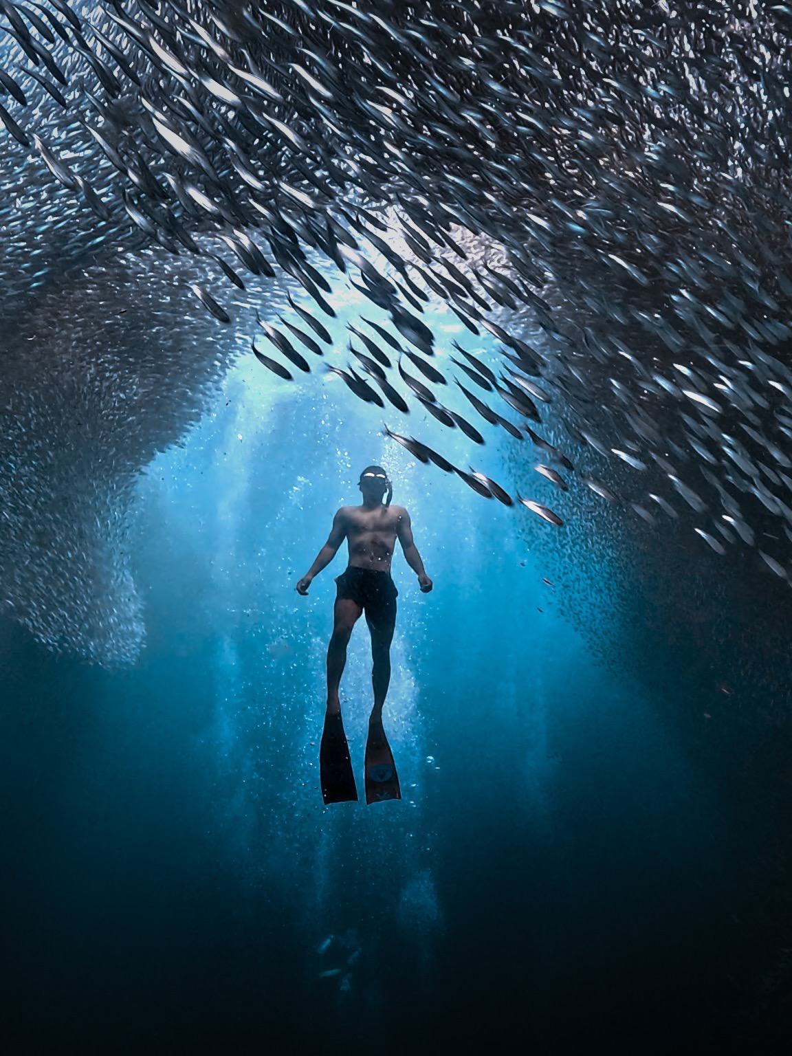 Moalboal Sardine Run - View 4