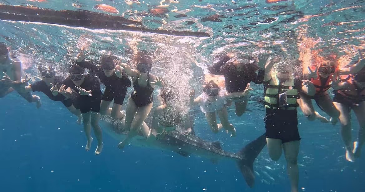 Oslob Whale Shark - View 24