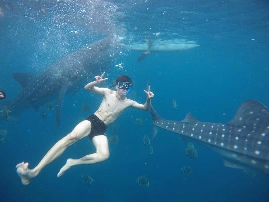 Oslob Whale Shark - View 13