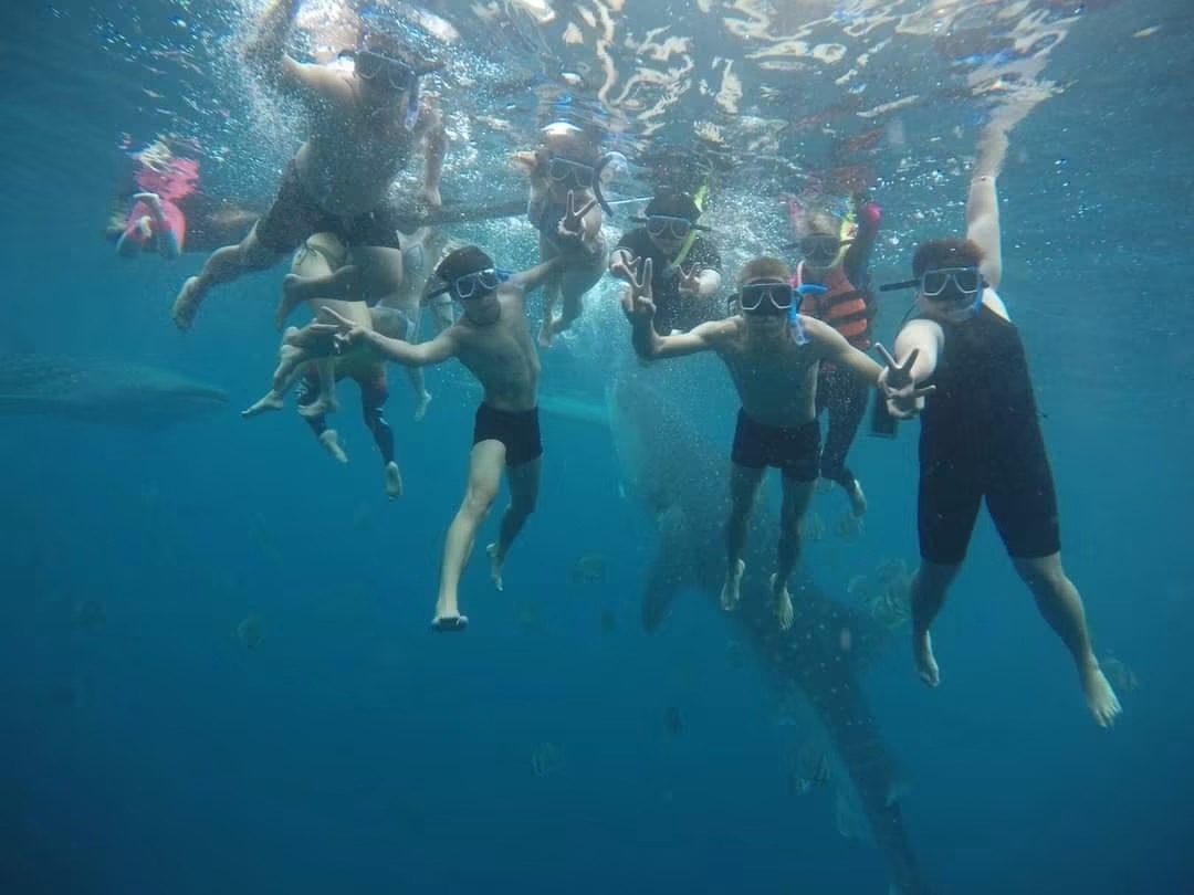 Oslob Whale Shark - View 14