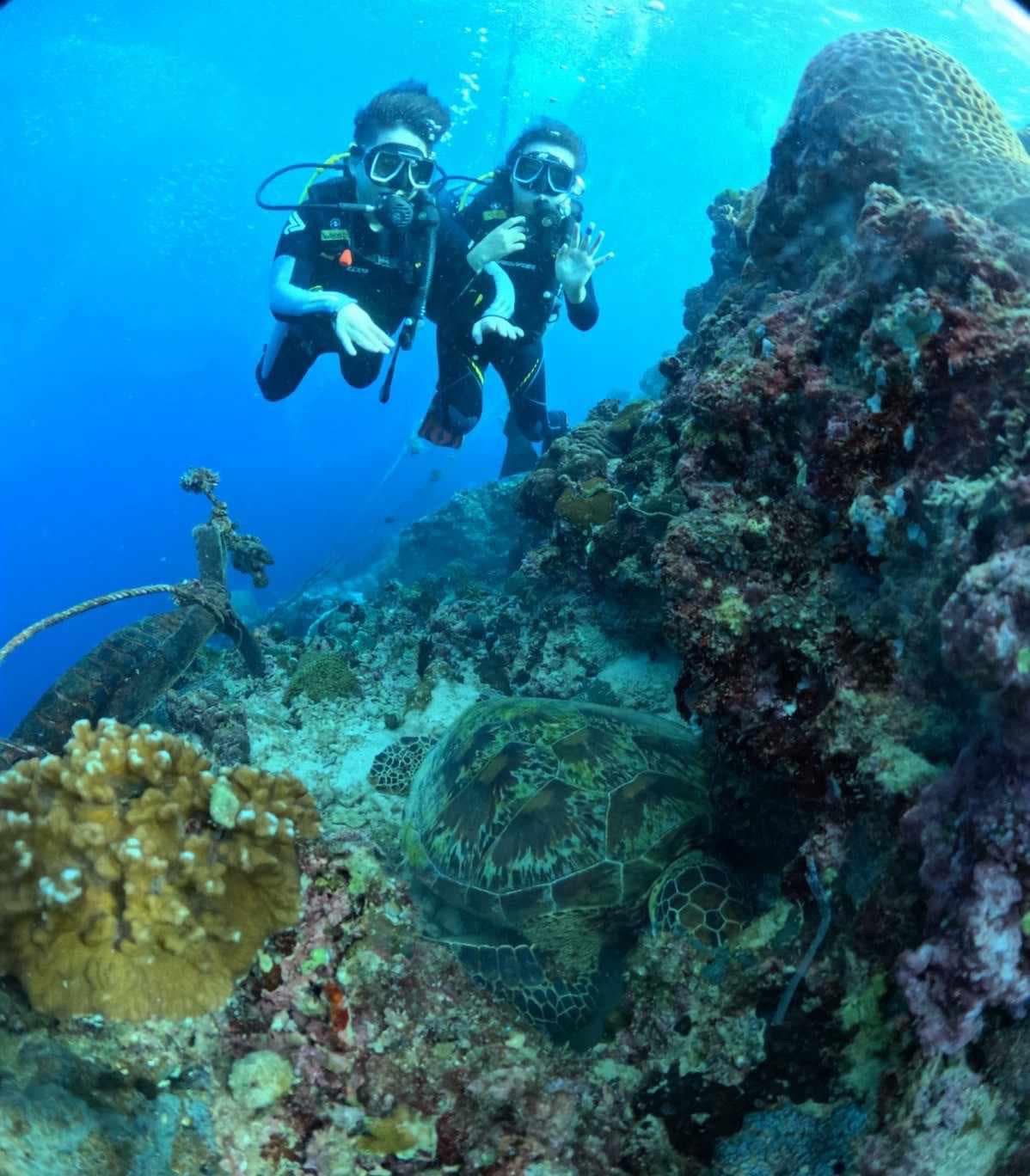 Oslob Whale Shark - View 5