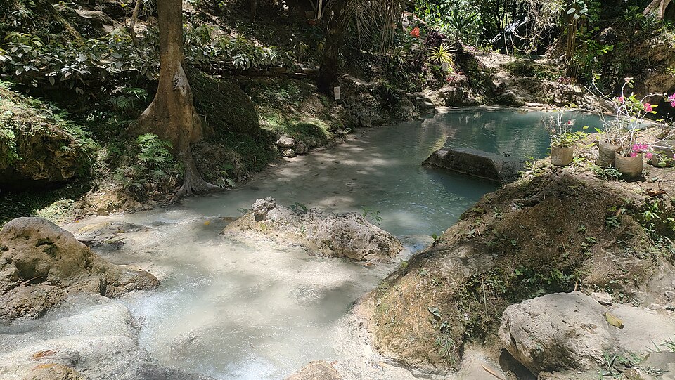 Tumalog Falls - View 41