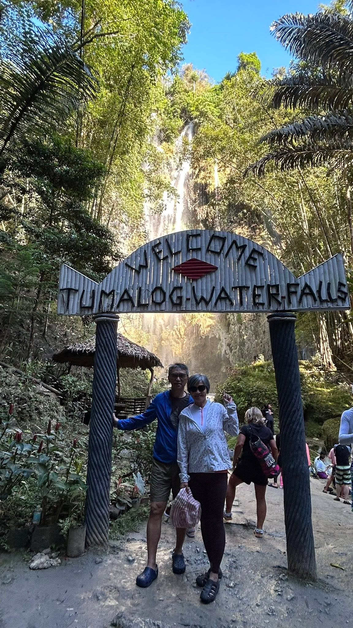 Tumalog Falls - View 34