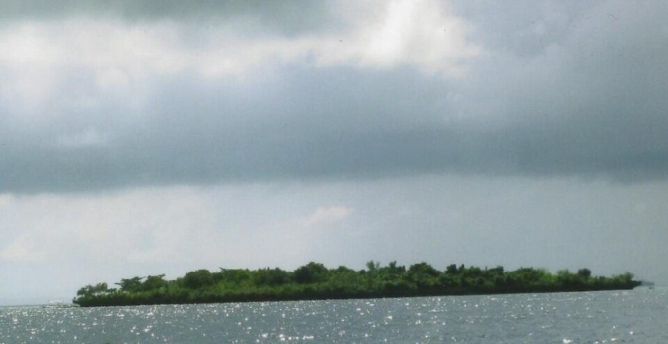 Nalusuan Island