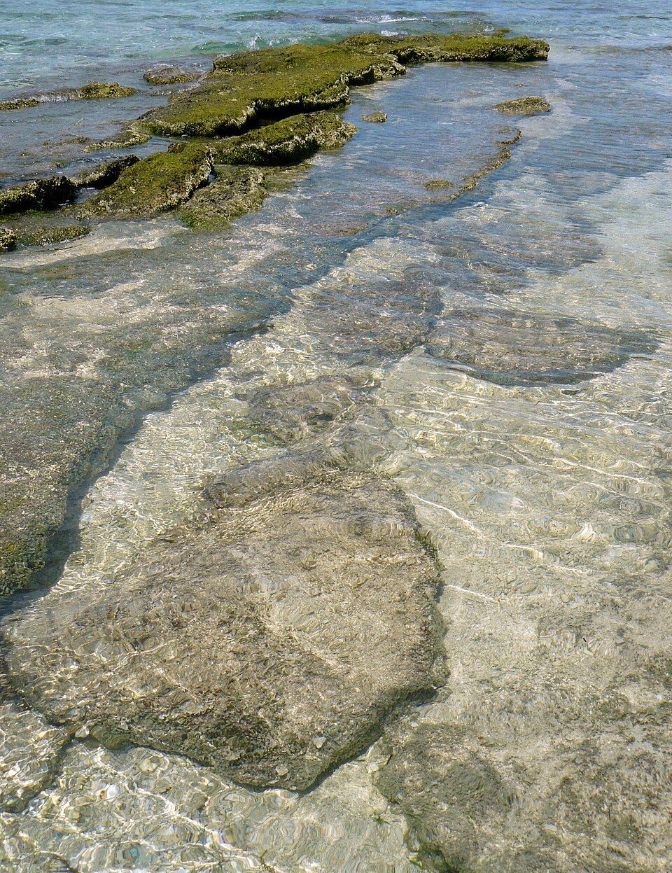 Virgin Island Sandbar