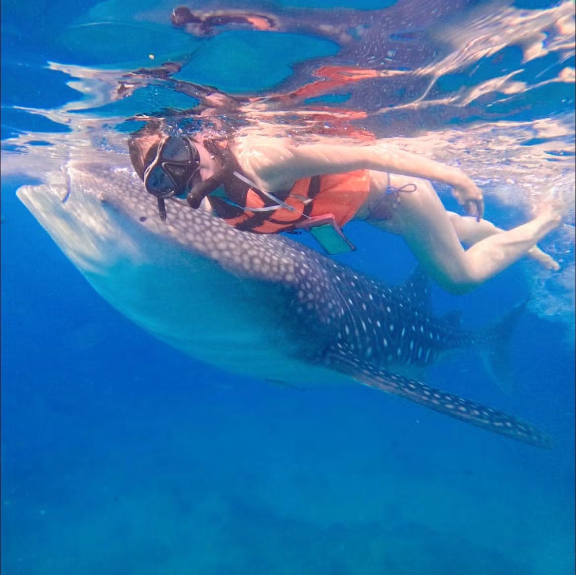 Oslob Whale Shark