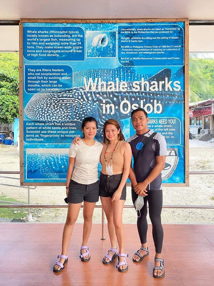 Oslob Whale Shark