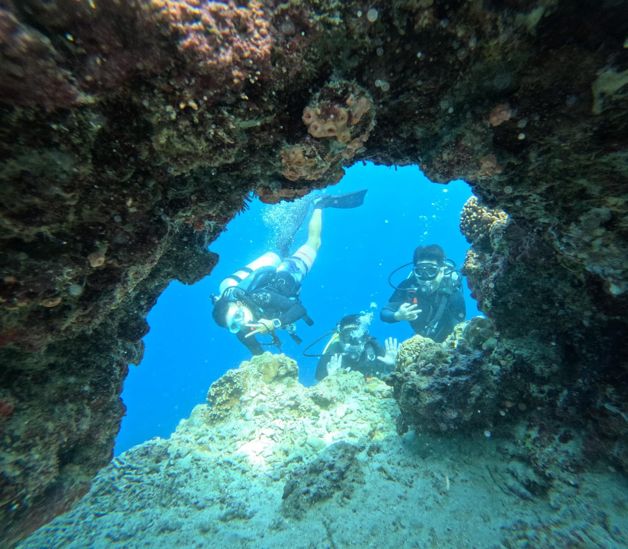 Moalboal Sardines & Turtles